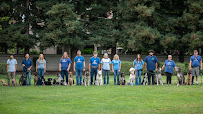 Guaranteed Dog Training